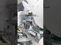 Célula de Inserção de Clip Duplo-Robô para Montagem de Peças Automotivas